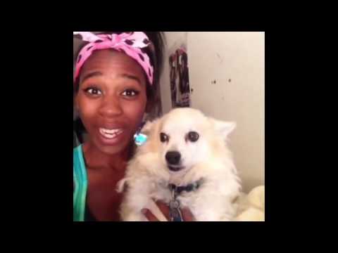 TRY NOT TO LAUGH CHALLENGE *REALLY HARD*