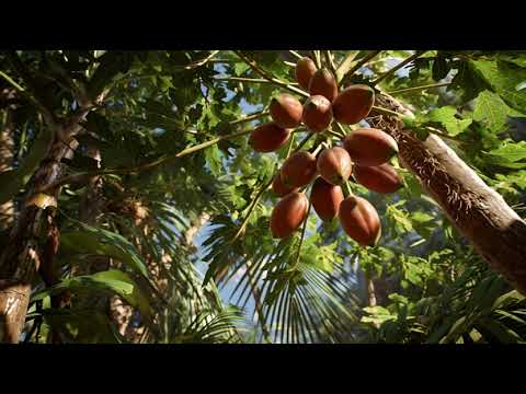 Most beautiful Different Fruit trees for every one | trend News video | Luxury Food Fruit Discovery