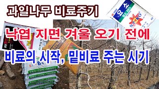 과일나무 비료 주기. 낙엽지면 겨울 오기 전에 비료의 시작, 밑비료 주는 시기 (과수 시비 시기, 과수 시비…