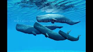 Mountain -  Nantucket Sleighride  w/lyrics