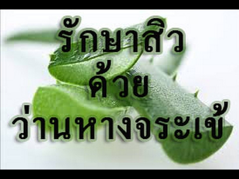 ความแรงของคนหลังจาก 50 ปีที่ผ่านมา ความคิดเห็น Annika ธ อร์