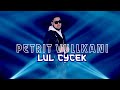 Luj Cycek Petrit Vullkani (Ft. Mikel Osmani)