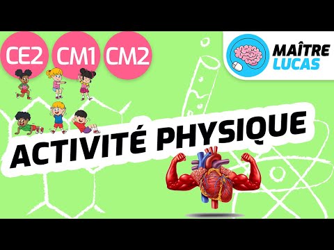 L'activité physique CE2 - CM1 - CM2 - Sport et santé - Hygiène de vie