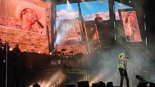 Love Can Make You Fly