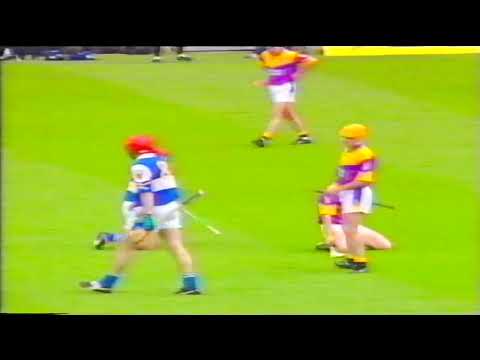 2001 Leinster Hurling Semi Finals Wexford v Laois, Offaly v Kilkenny