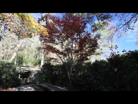 Wedard feat. Midnighty Odyssey - What we left Behind - Lirics