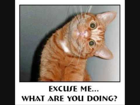 Forum di Lettere Is Burning - Part Two