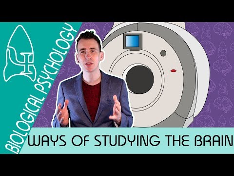 image-What are the three most common methods of measuring brain function?