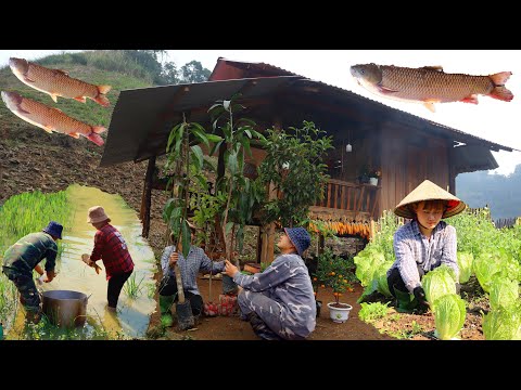 full video of building a new life | Plant more fruit trees, build bamboo fences and catch fish