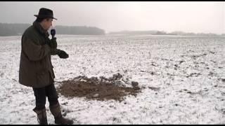 preview picture of video 'Arme Wildschweine: Jäger schießen im Winter besser'