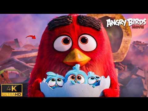 Red vs Pig - Angry Birds Final Fight Scene - Red Hero Moment scene