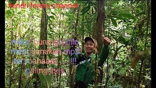 Download lagu Mikat burung cililin menggunakan mp3 ter mahaal & jituu mp3