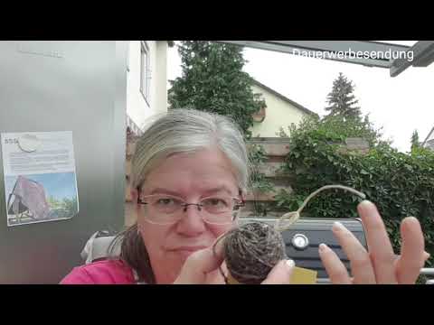 #045 Nach der Tour ist vor dem Geburtstags cast-on