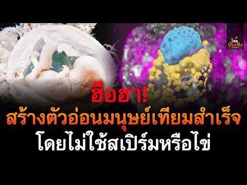 คลิกเพื่อดูคลิปวิดีโอ