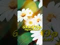 Onam Status Video Paraniraye Ponnalakkum Yesudas Sujatha