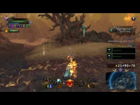 Neverwinter Super Healing Companion (Splinters)