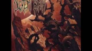 decrepit birth- Await the unending
