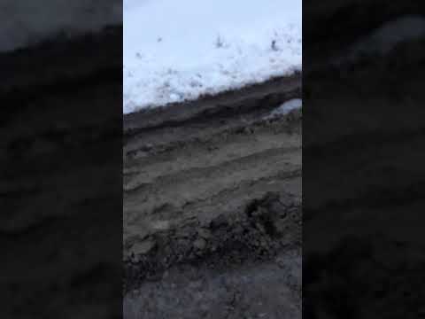 sanduleni, versesti, ghizunie