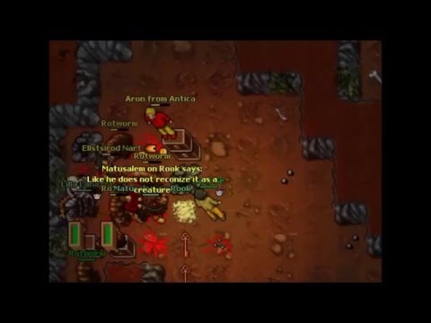 Tibia Legends - Sunrise, Aron shillier and Lilla killing botters on Antica Rookgaard 2016.