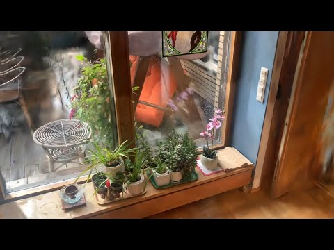 Uusi mullistava 3D mallien esittämismuoto - Gaussian Splatting