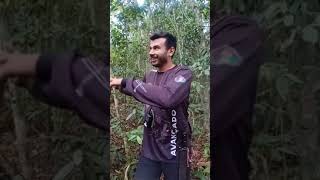 alguns flagrantes do curso avançado de sobrevivência!