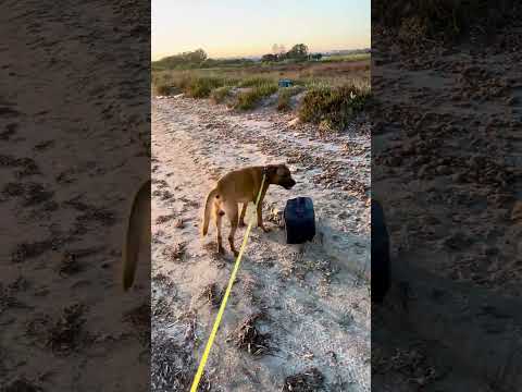 Lieber mal vor der eigenen Haustüre kehren!!