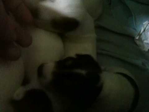 Youtube Video MEEzLAedkSs