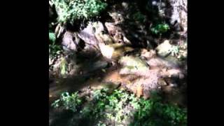 Flutist Walter Bell - "They Say It's Wonderful" feat. Denise King