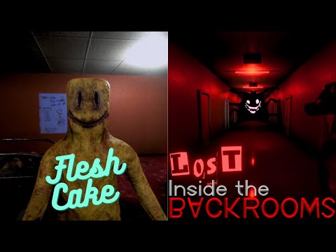 Inside The Flesh Cake AND Lost Inside The Backrooms