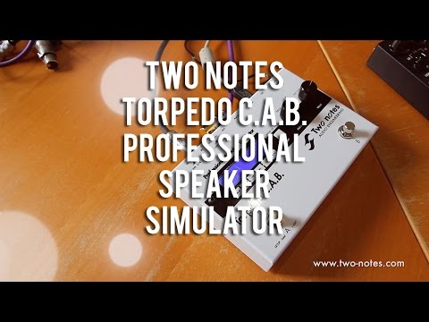 Two Notes: TORPEDO C.A.B. Professional Speaker Simulator