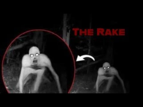 Scared Sh!tless Episode 8: The Rake