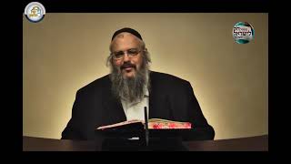 חוק לישראל - פרשת בלק - יום שני | הרב שלמה לוינשטיין