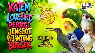 Download lagu MASTERAN SATU JALUR JEDA TERAPI AIR | TEMBAKAN KASAR TAJAM!! mp3 Download lagu MASTERAN SATU JALUR JEDA TERAPI AIR | TEMBAKAN KASAR TAJAM!! mp3