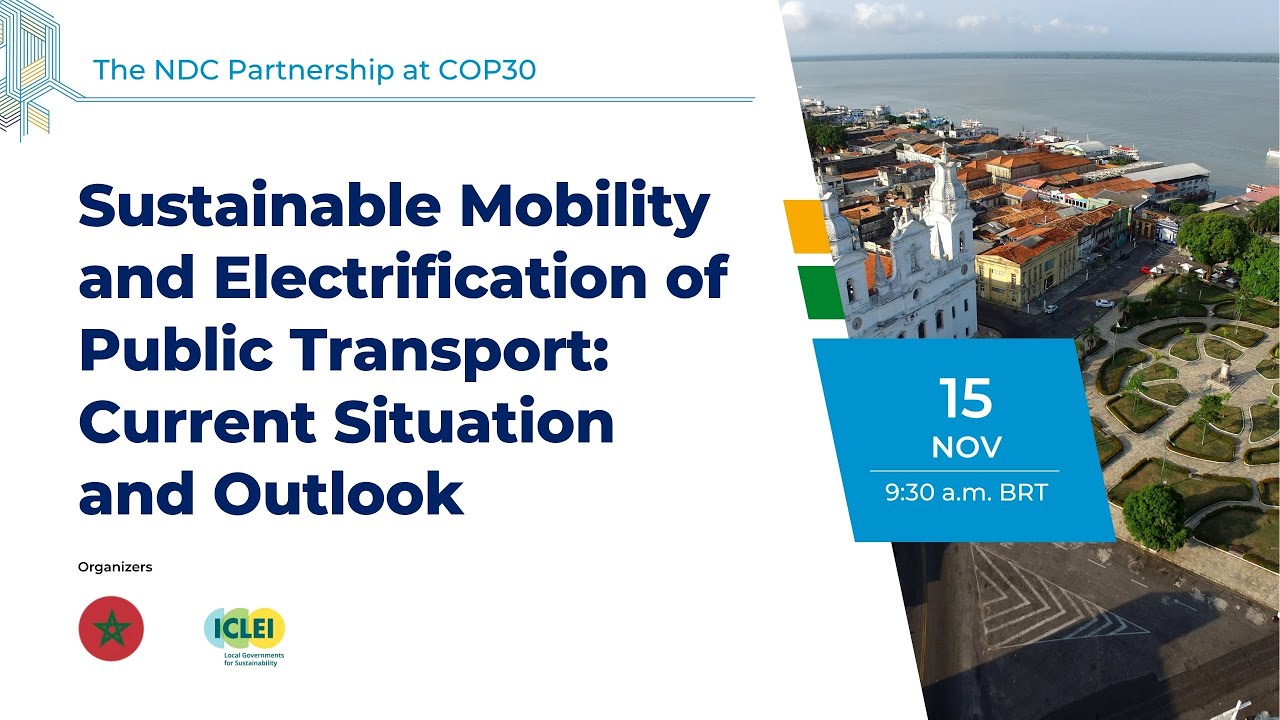 Sustainable Mobility and Electrification of Public Transport: Current Situation and Outlook