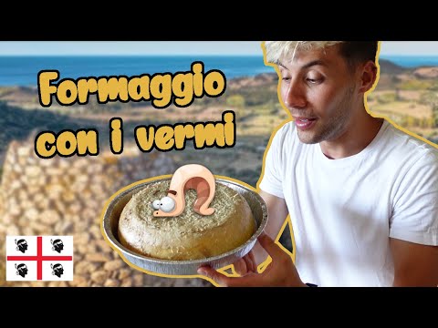 Che sapore ha il formaggio con i vermi sardo? Lo assaggio - Casu marzu