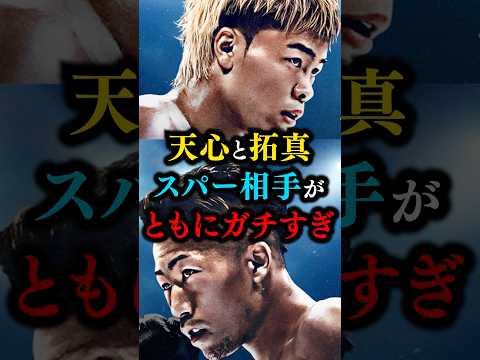これはガチ！天心・拓真のスパー相手が・・・