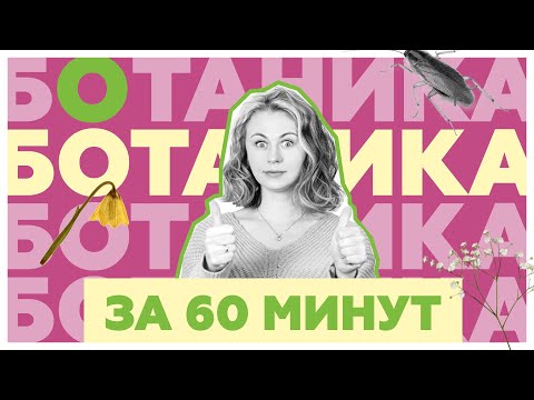 Вся ботаника за 60 минут | Ксения Напольская | ЕГЭ по Биологии