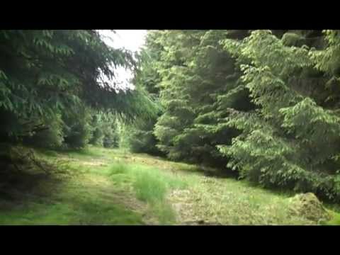 Invertrossachs, Callander