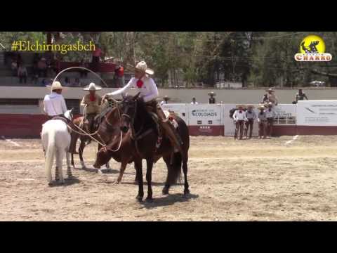 El "Chiringas" en el Torneo Tapatio mete 3 Piales, Pial de Ruedo y 3 manganas, aportando 173 pts