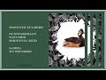 Dominik Eulberg • Schwarzhalstaucher (Original Mix)