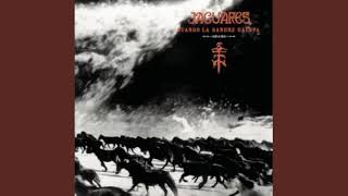 Jaguares - El Aislamiento (Cover Audio)