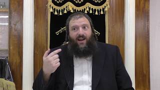דבר תורה קצר לפרשת לך לך  - הכופר הראשון... מסע חיפוש האמת של אברהם אבינו