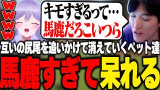 【おなつ休みARK】互いの尻尾を追いかけて空に消えてくペット達に呆れるやうじ【RIDDLE ORDER/ゆきお/おなつのにびたし】