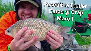 Pescuit la feeder după Pește Mare ! O partidă muncită la method , Crap , Caras si o Rață 🤣🎣 #fishing