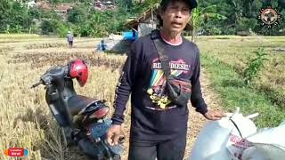 Download lagu Penduduknya yg ramah//Kp. Margacinta,Ds. Marga Mekar Sumedang Selatan mp3 Download lagu Penduduknya yg ramah//Kp. Margacinta,Ds. Marga Mekar Sumedang Selatan mp3