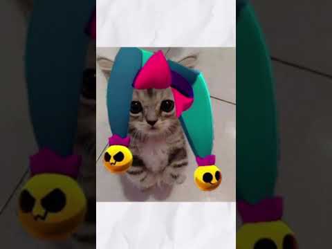 A MELODIE TÁ NA LOJA!! #shorts #brawlstars