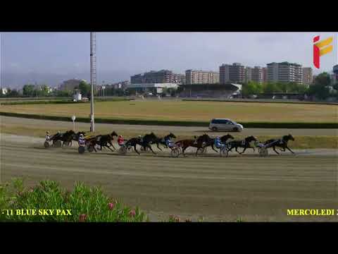 III Corsa del 29 giugno 2022 - 5 Anni ed oltre - Metri 1600