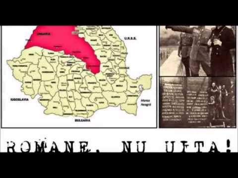 Adriana Margalina - Despartirea de o Garoafa Rosie