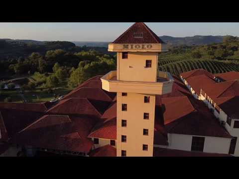 Vale dos Vinhedos - Vinícola Miolo / Wine Garden - Drone View