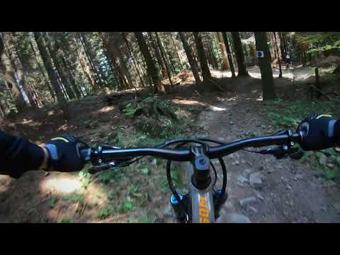 Koninki gravity park